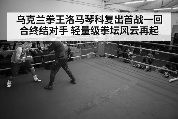 boxer training gym